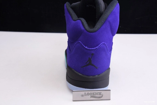 Rep TBkick Air Jordan Alternate Retro 136027-500 5 Grape 0806
